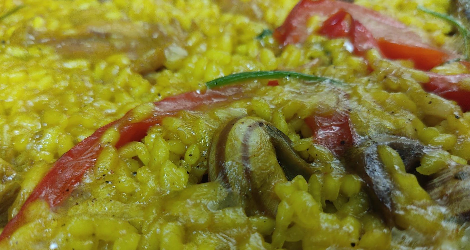 Arroz con conejo y caracoles